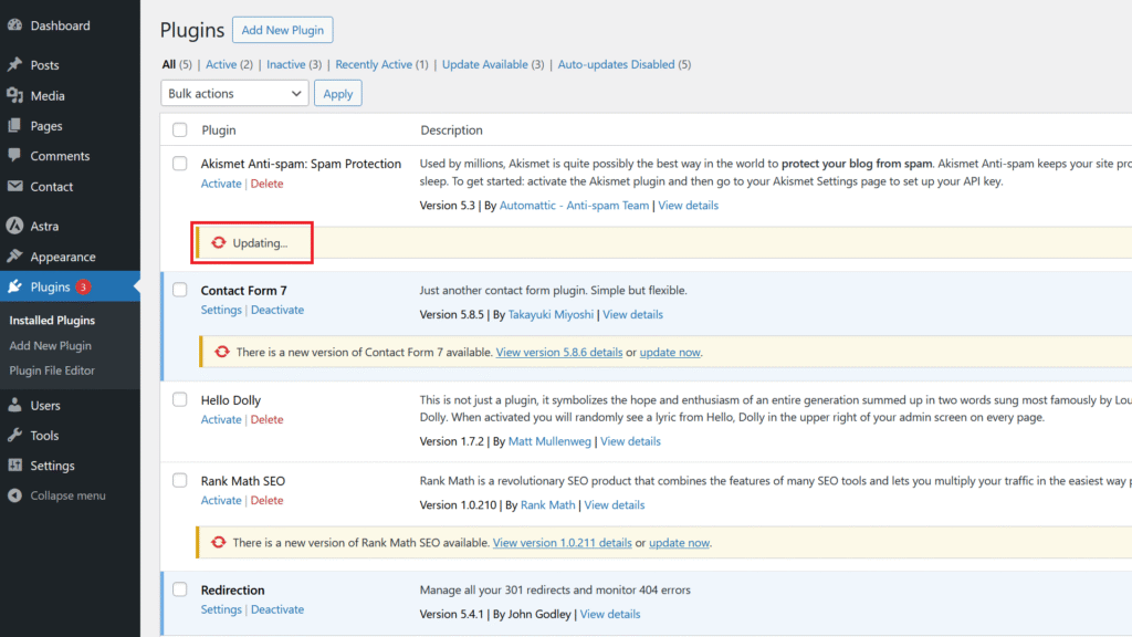 How to Update a WordPress Plugin